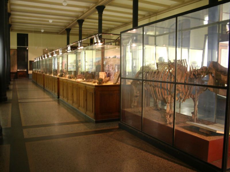 Natural History Museum Berlin