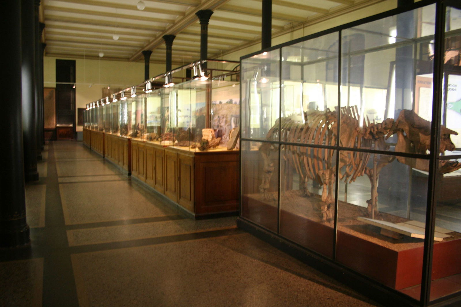 Natural History Museum Berlin