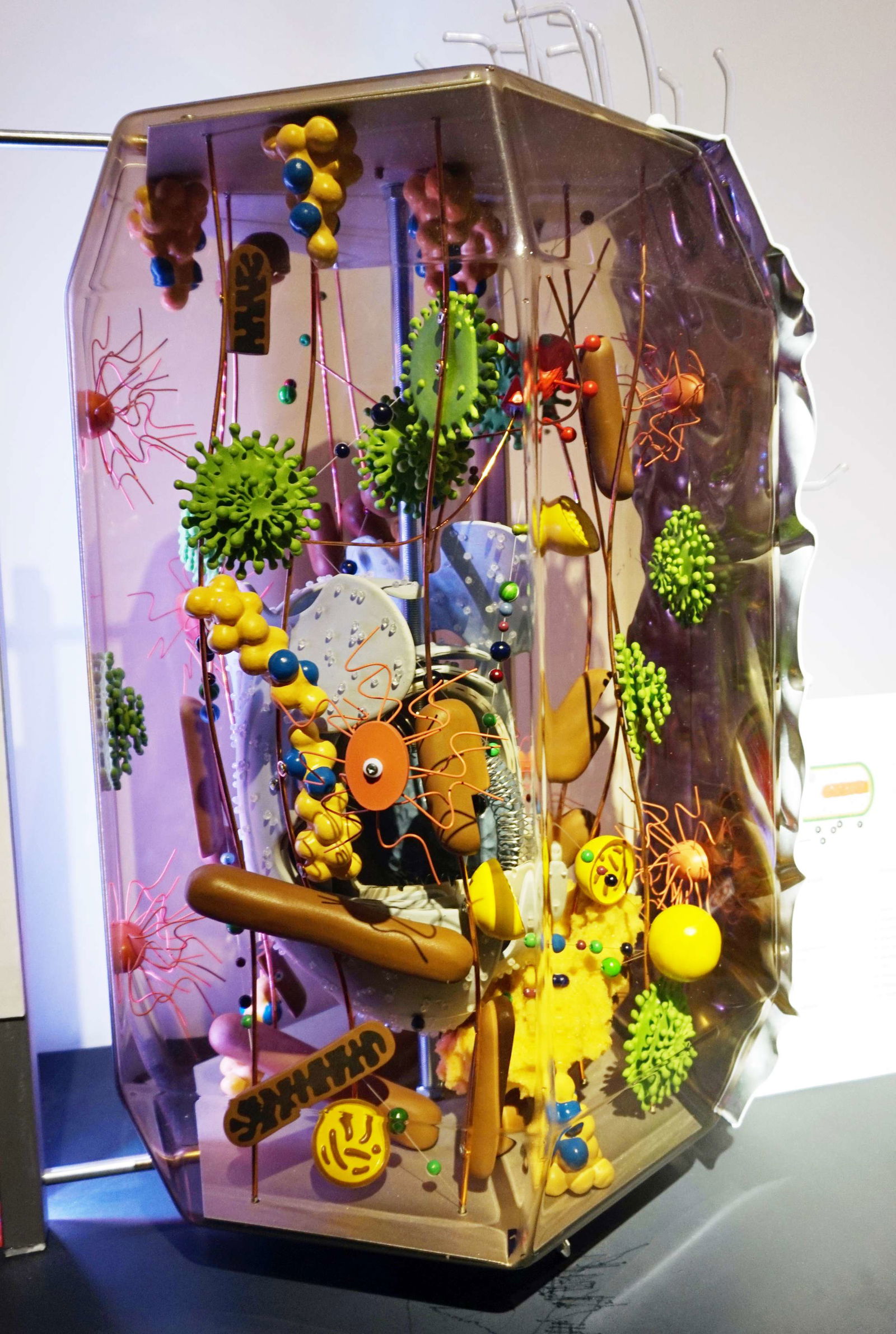 Grigore Antipa National Museum of Natural History