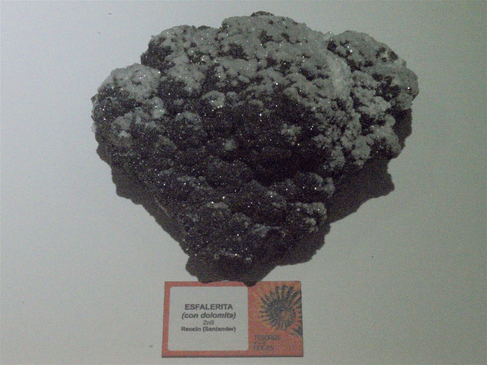 Museo Elder de la Ciencia y la Tecnología