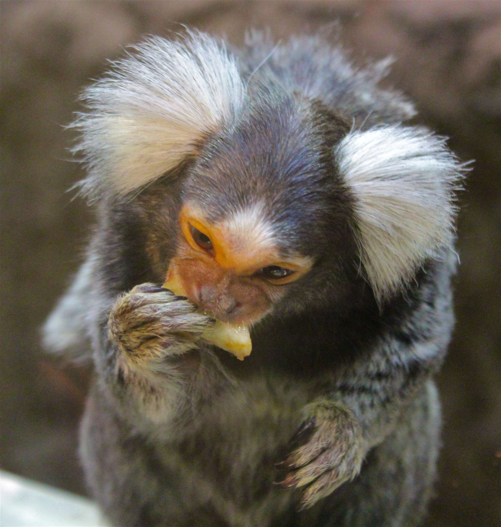 Aquazoo – Löbbecke-Museum Düsseldorf