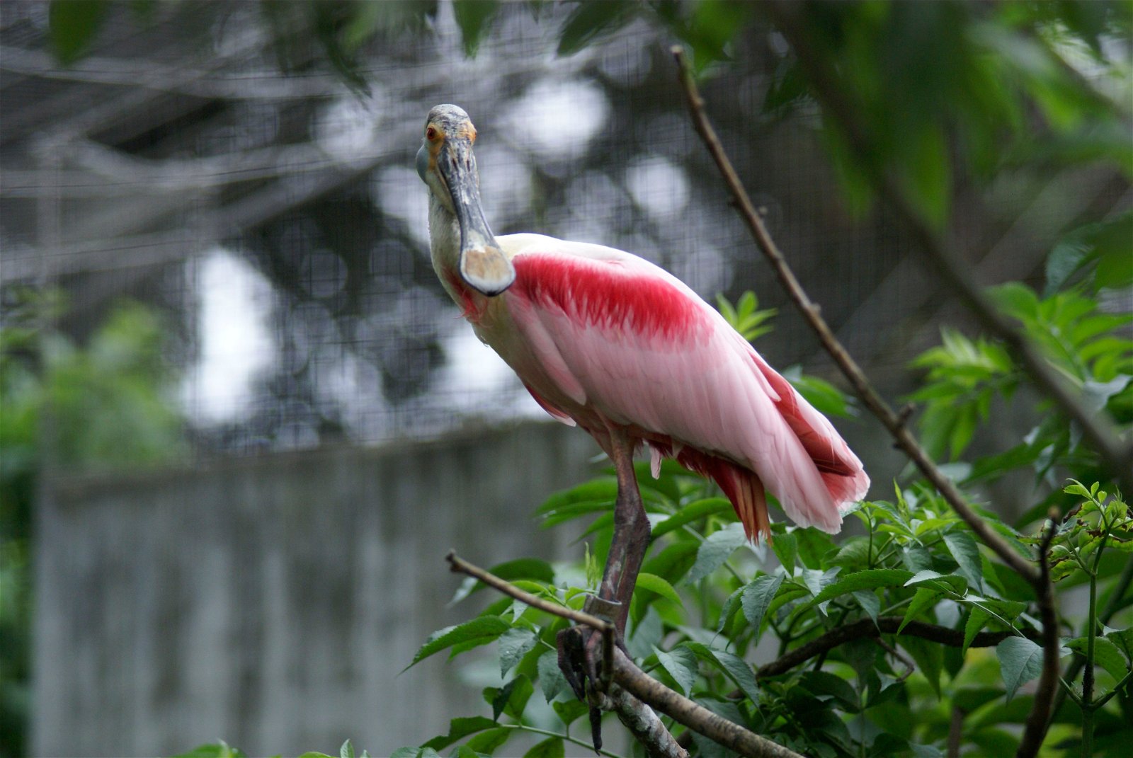 Wilhelma Zoo and Botanical Garden