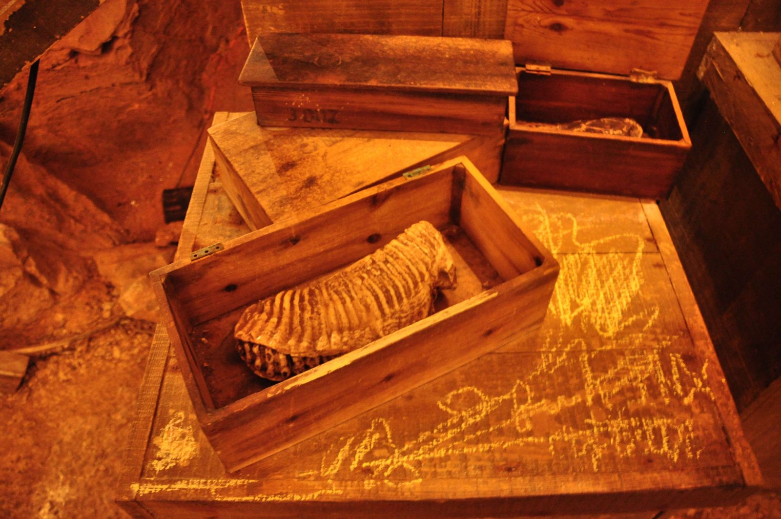 Kents Cavern Prehistoric Caves