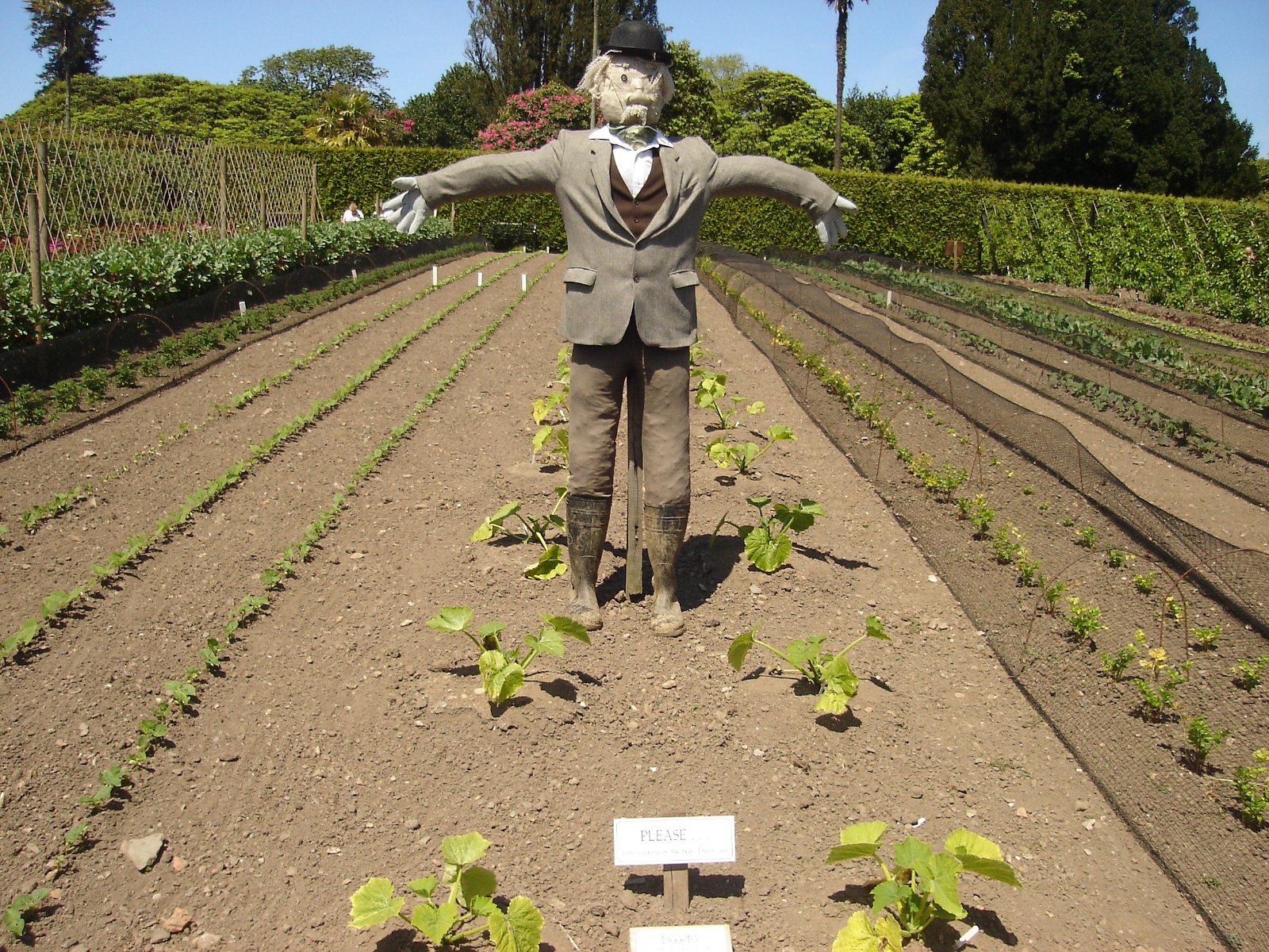 The Lost Gardens of Heligan