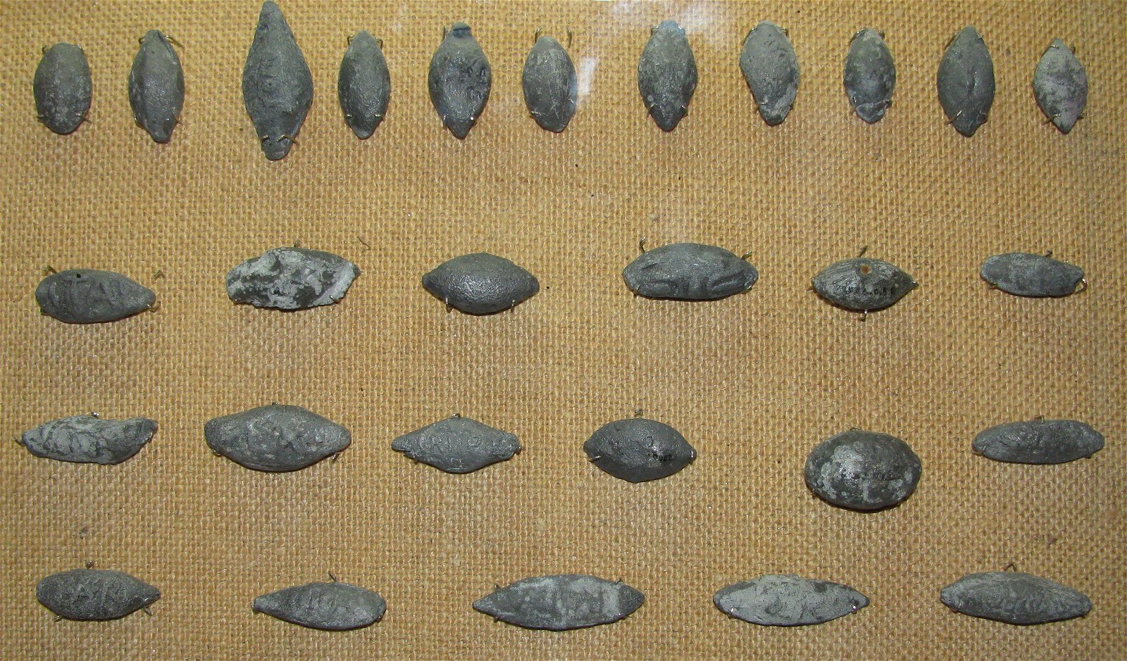 Musée gallo-romain de Fourvière