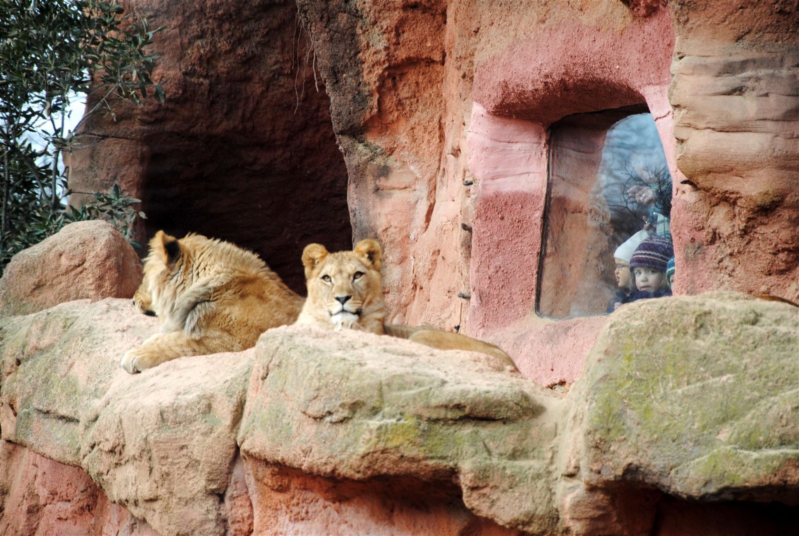 Erlebnis Zoo Hannover