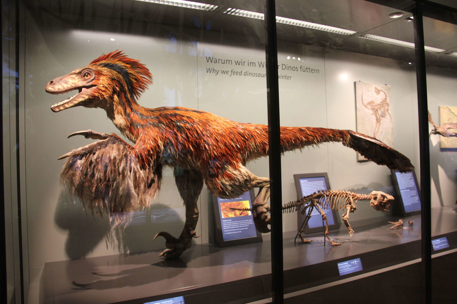 Natural History Museum