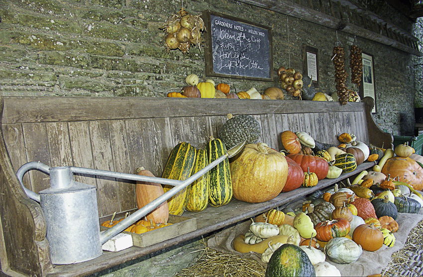 Lost Gardens of Heligan