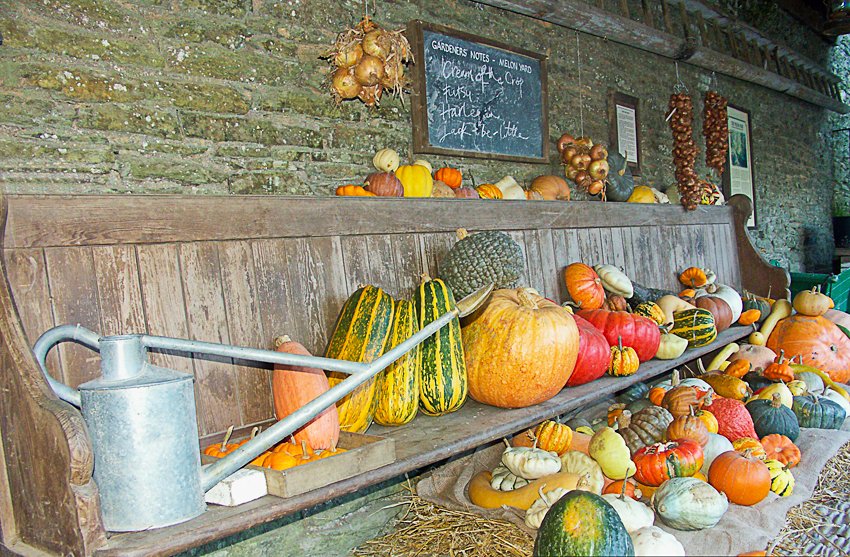 The Lost Gardens of Heligan