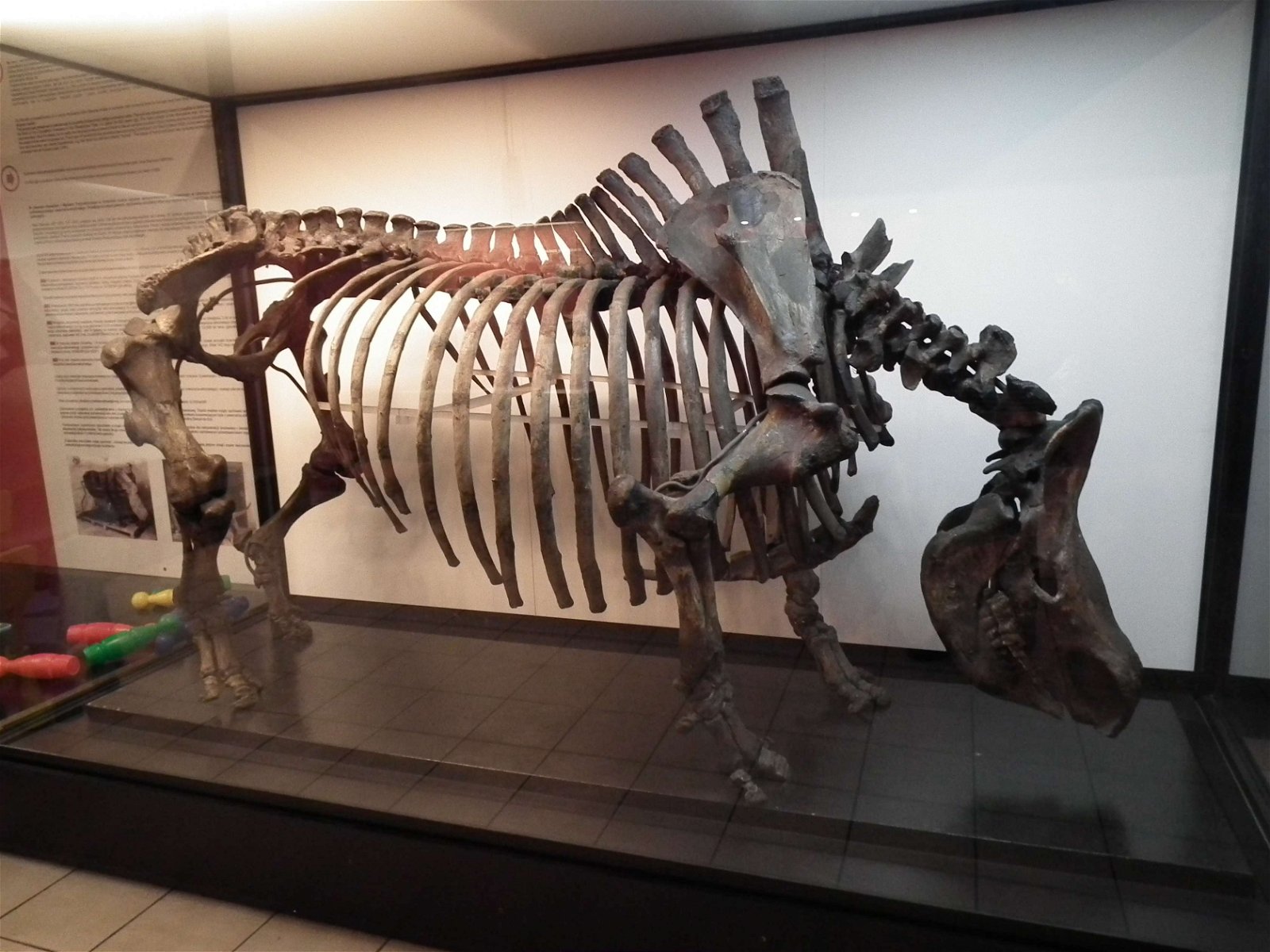 Aquarium and Museum of Natural History in Krakow