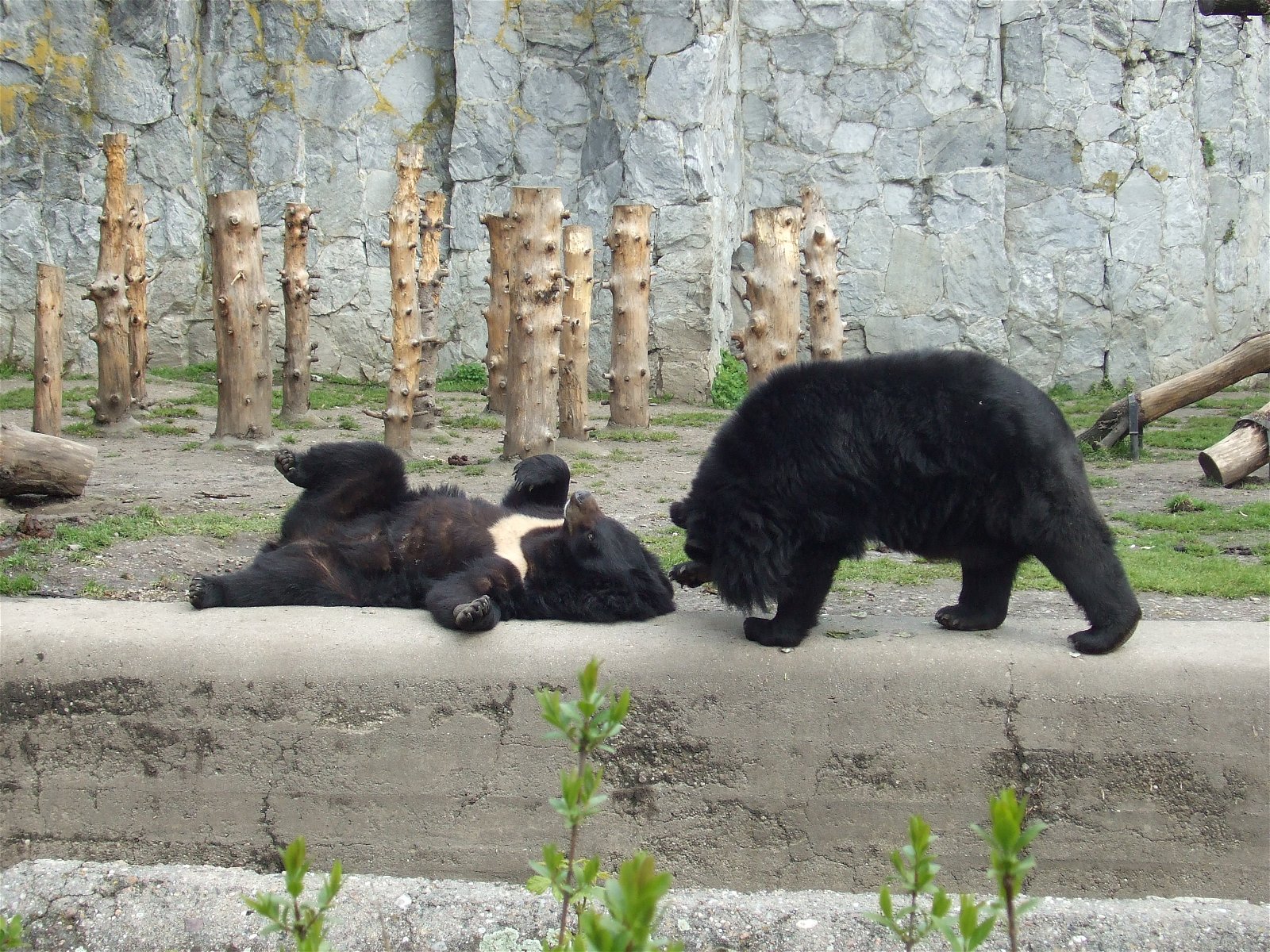 Wroclaw Zoo & Africarium