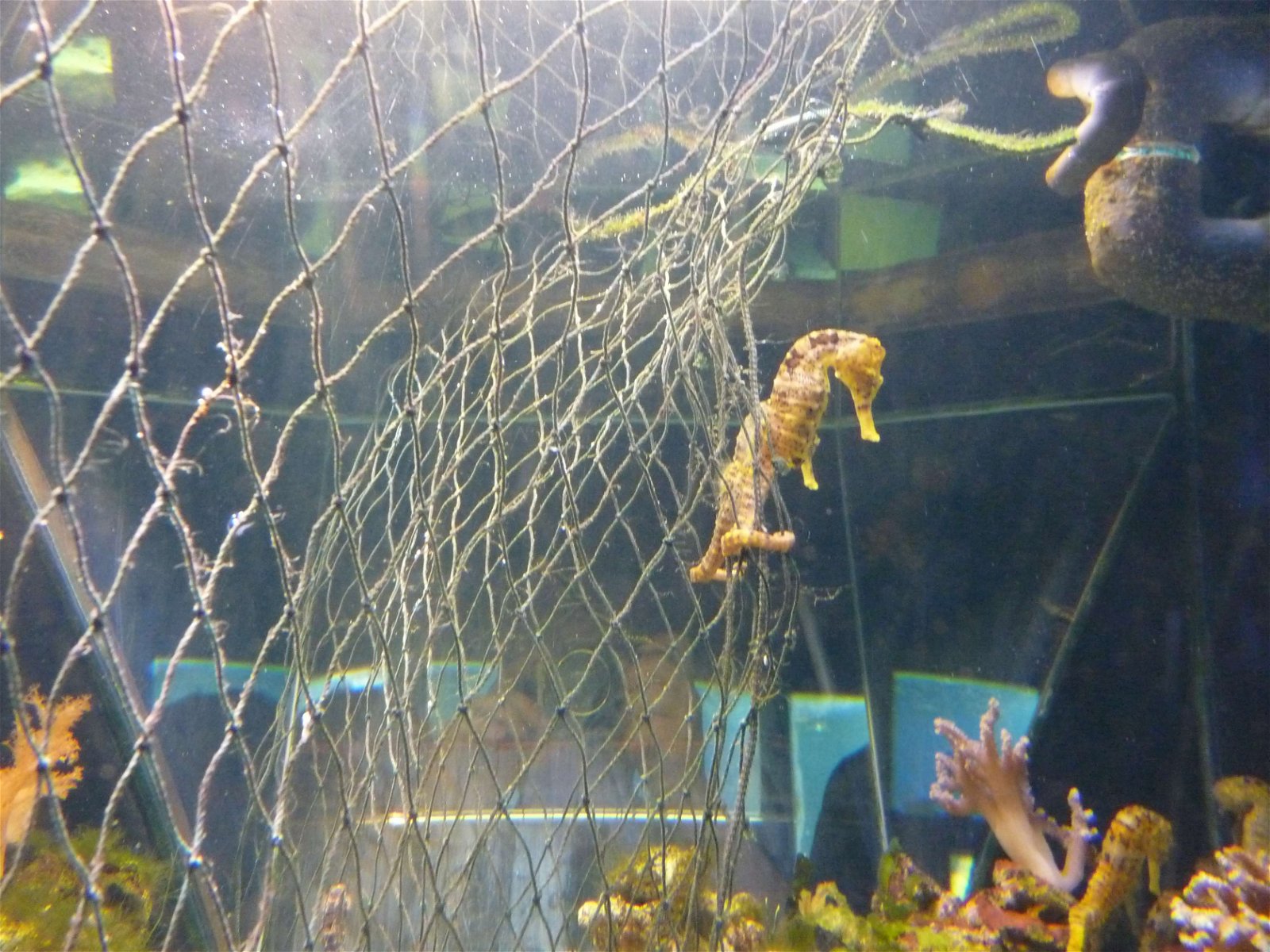 Aquaria Water Museum