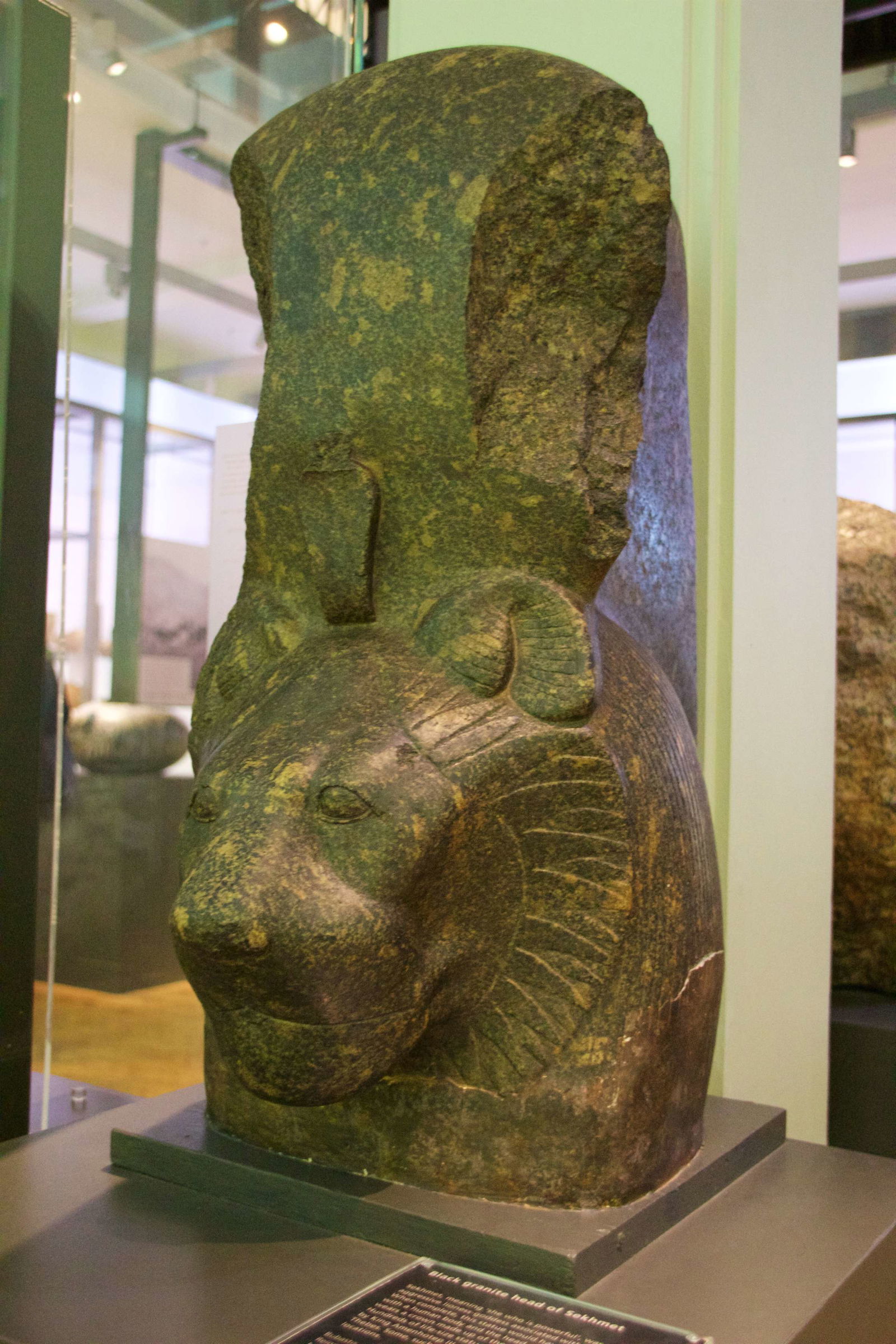 Museo de Mánchester