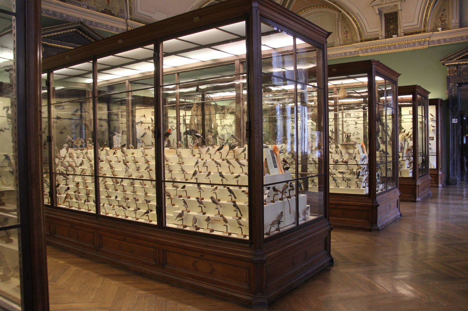 Natural History Museum