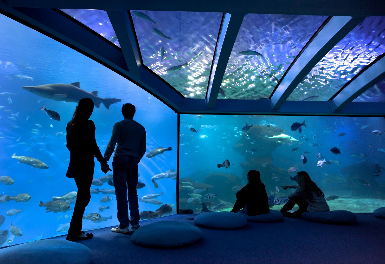 Palma Aquarium