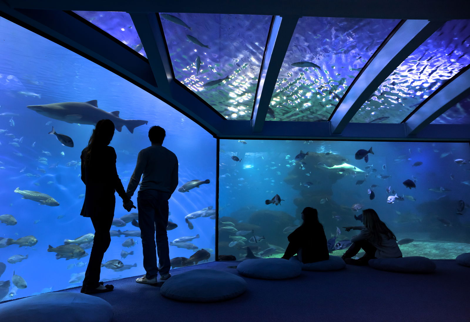 Palma Aquarium