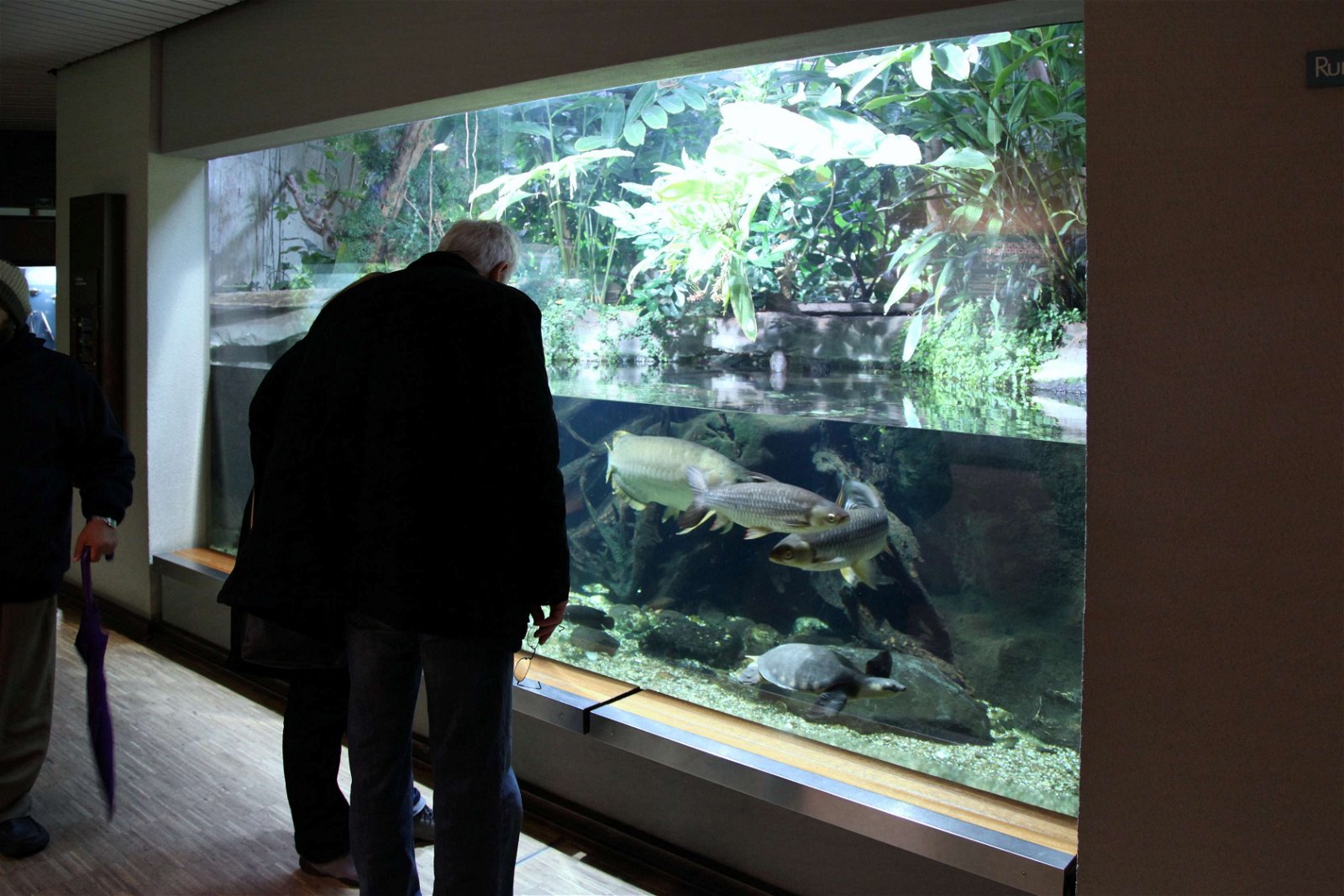 Aquazoo – Löbbecke-Museum Düsseldorf