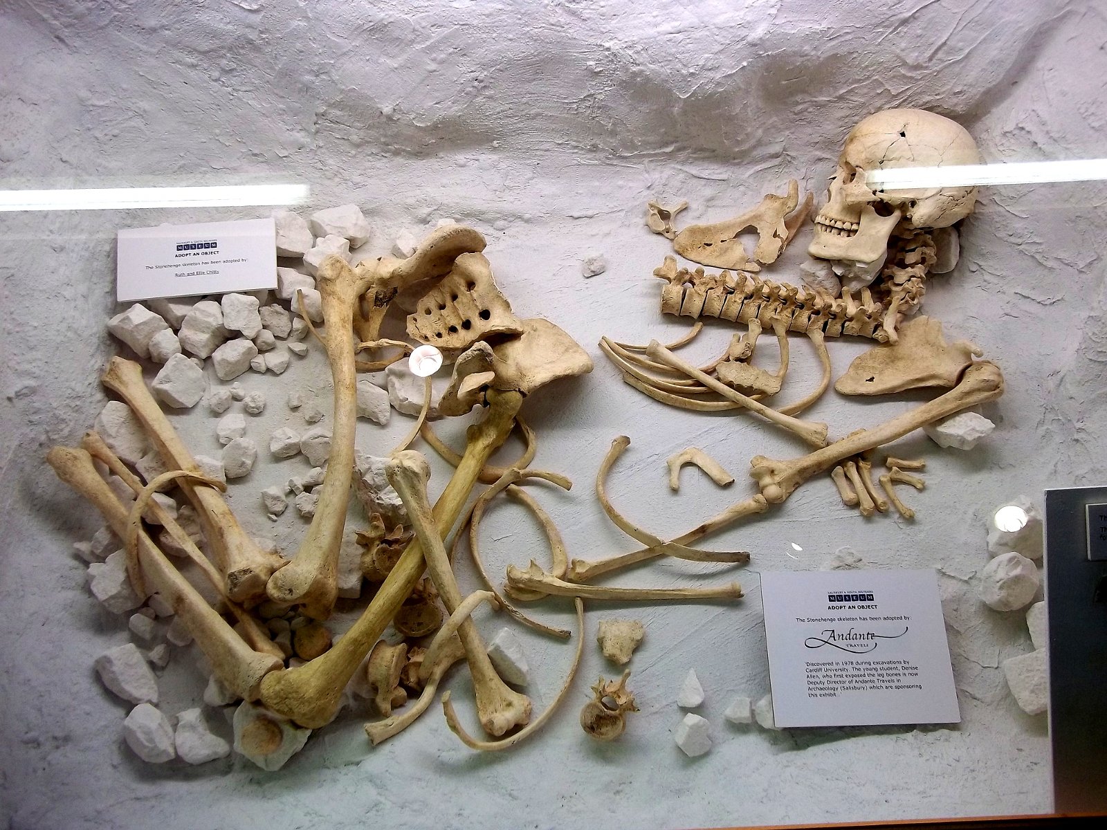 The Salisbury Museum