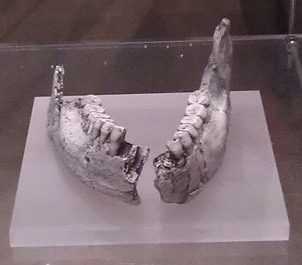 National Museum of Natural Sciences of Spain