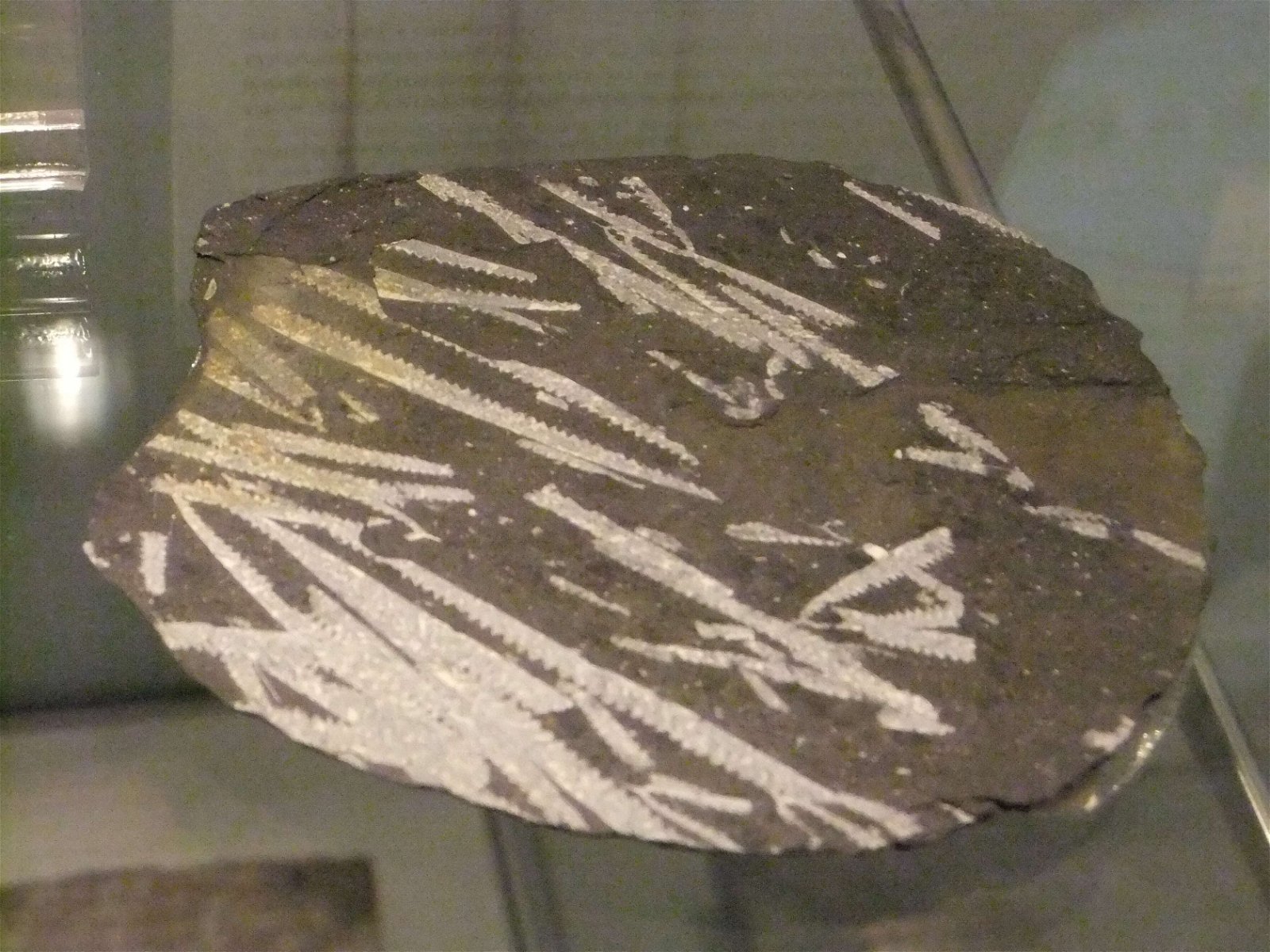 Wrexham County Borough Museum and Archives