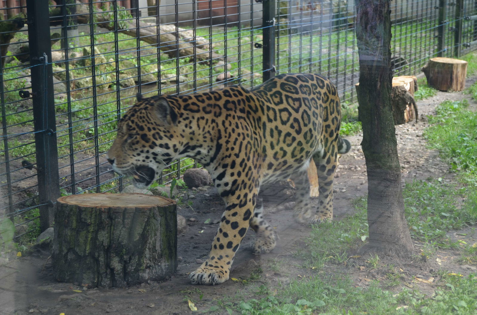 Warsaw Zoo