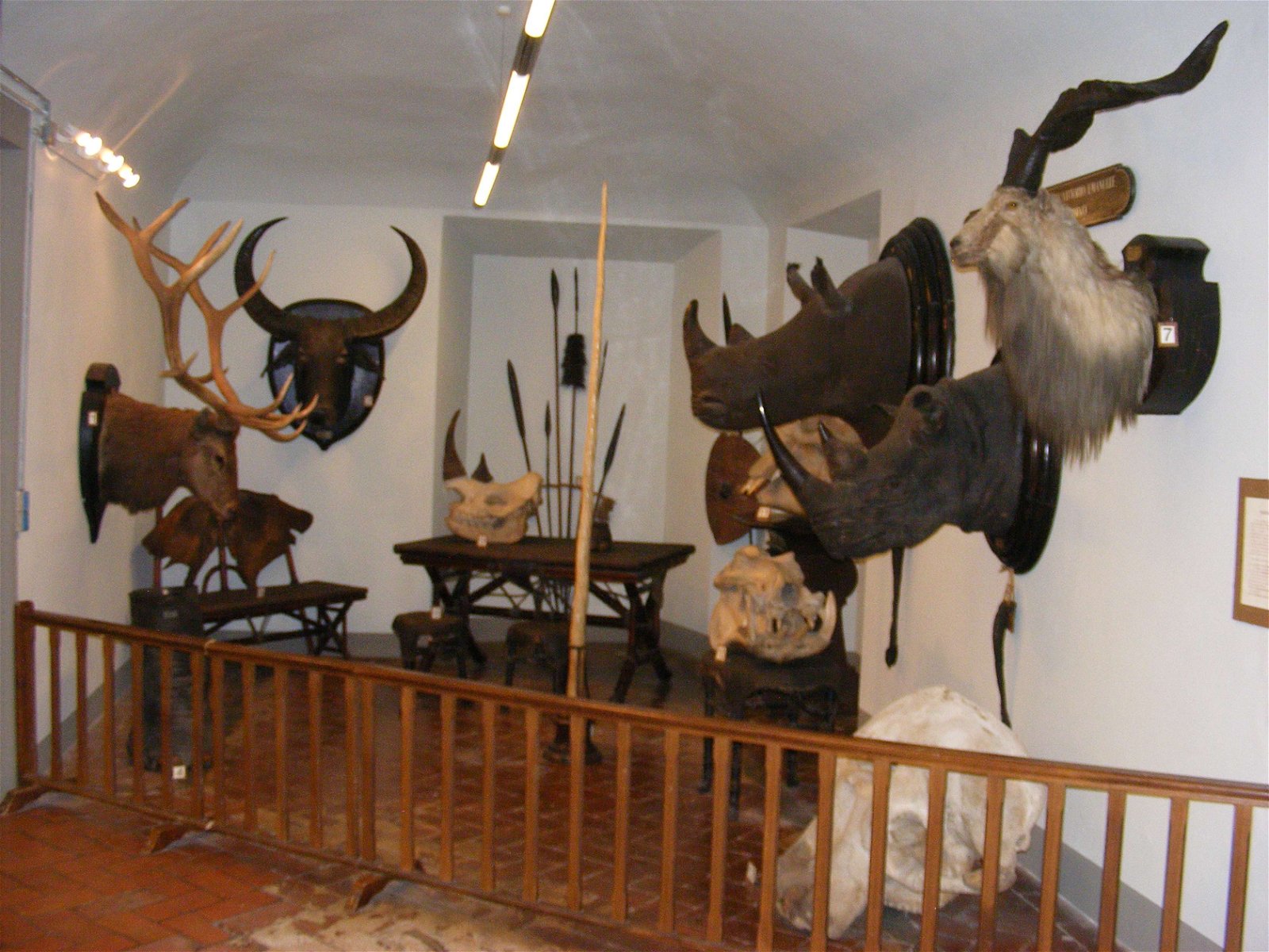 La Specola - Museum of Zoology and Natural History