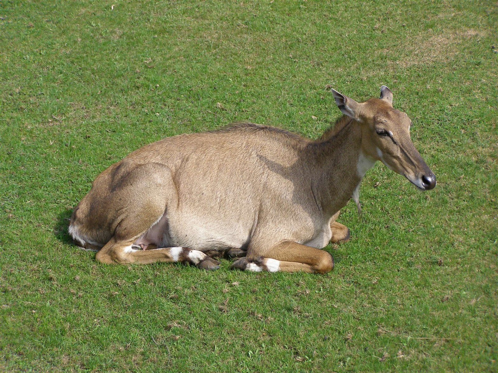 Wroclaw Zoo & Africarium