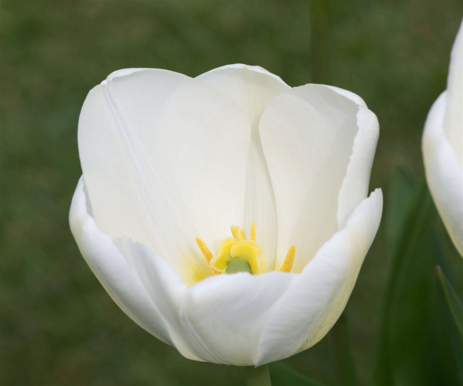 Stewart's Burnby Hall Gardens and Museum