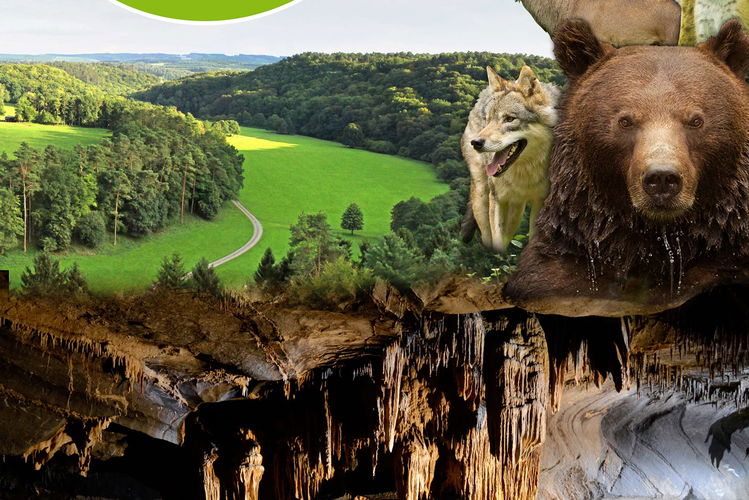 PrehistoHan - Domaine des Grottes de Han