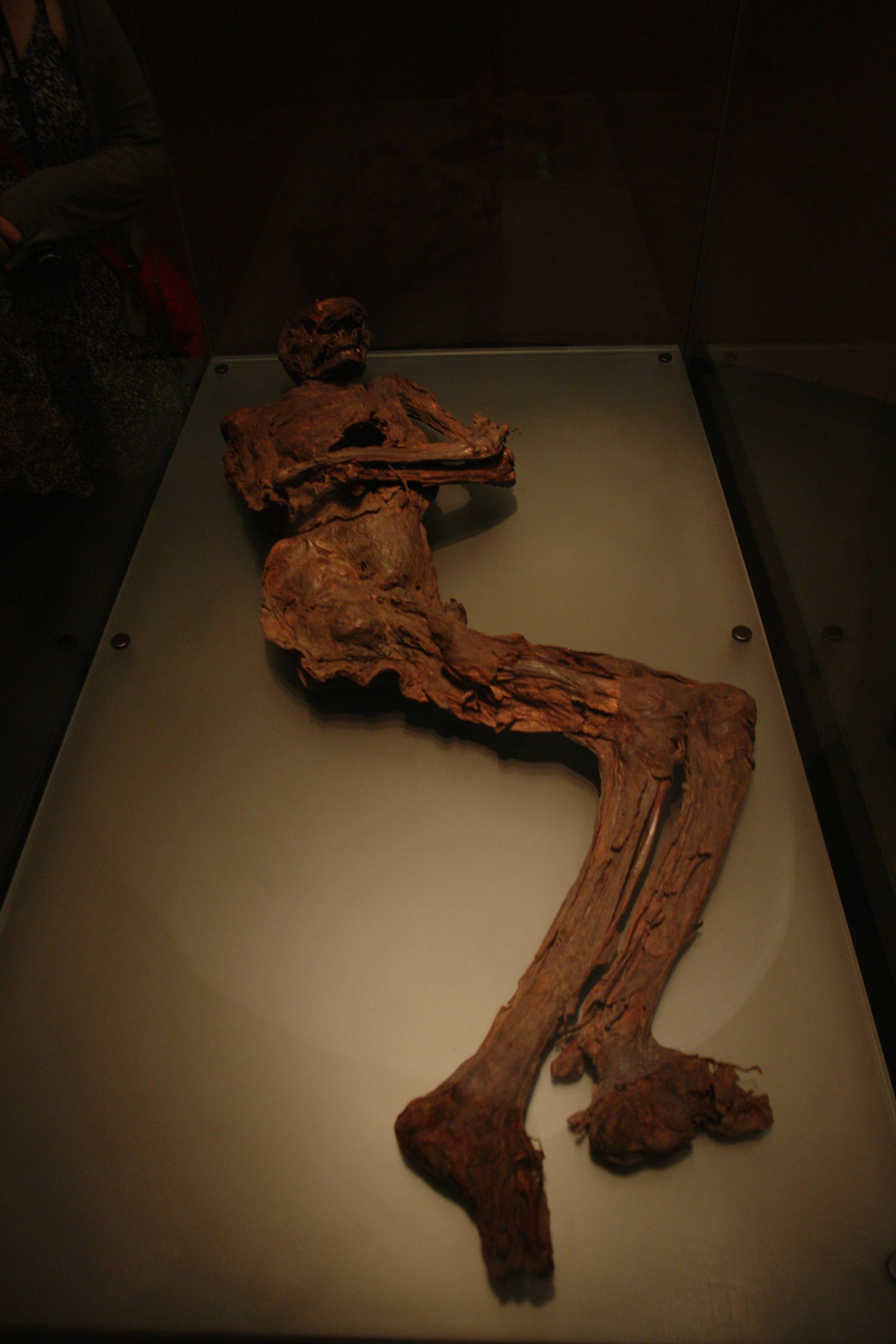 National Museum of Ireland, Kildare Street