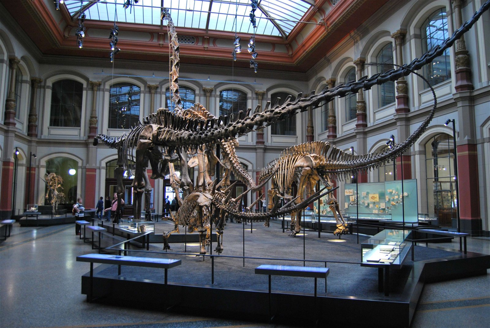 Natural History Museum Berlin