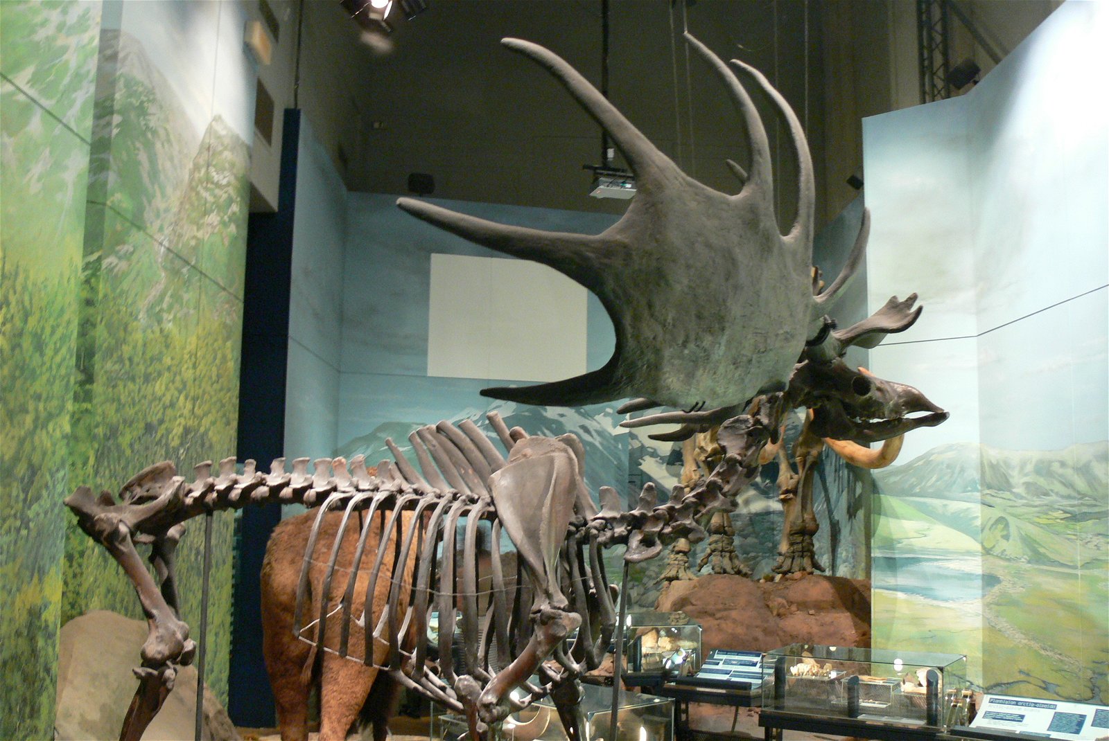 National Museum Cardiff