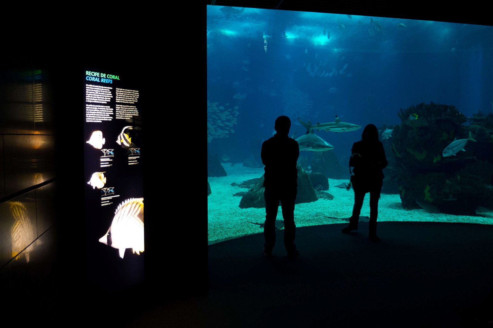 Lisbon Oceanarium