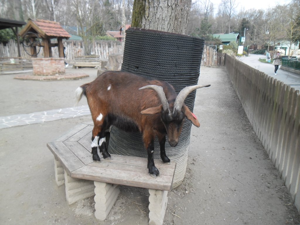Zagreb Zoo
