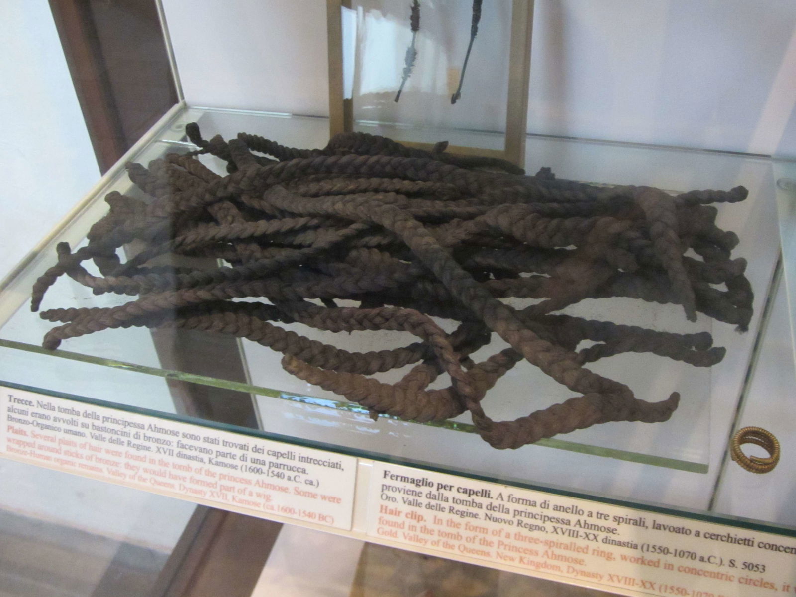 Museo egizio di Torino