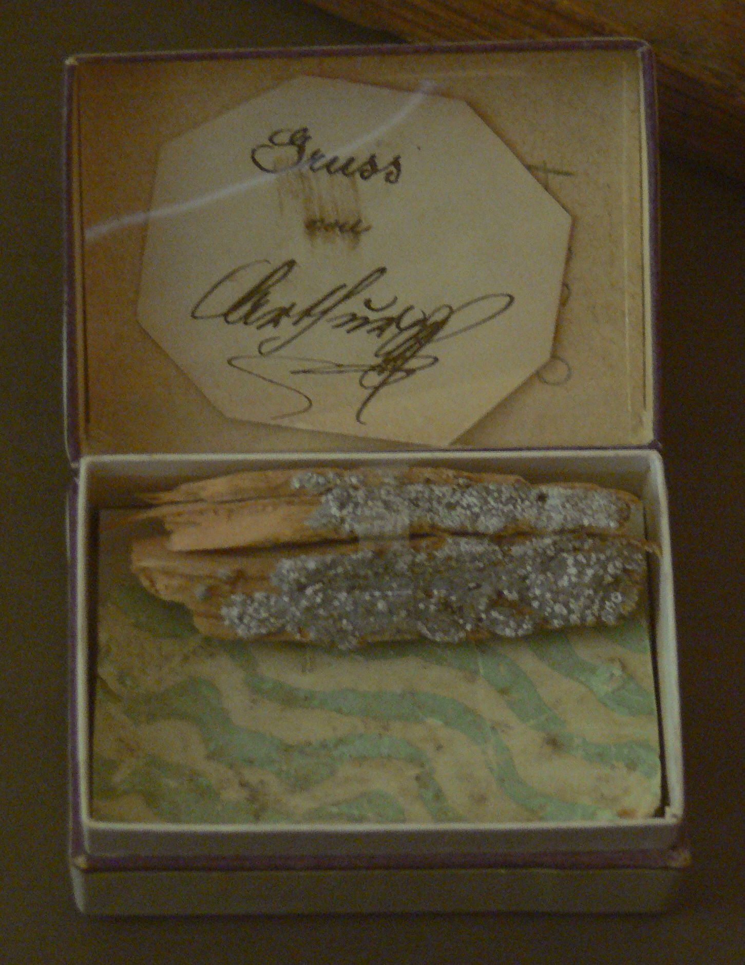 Theatermuseum, Vienna