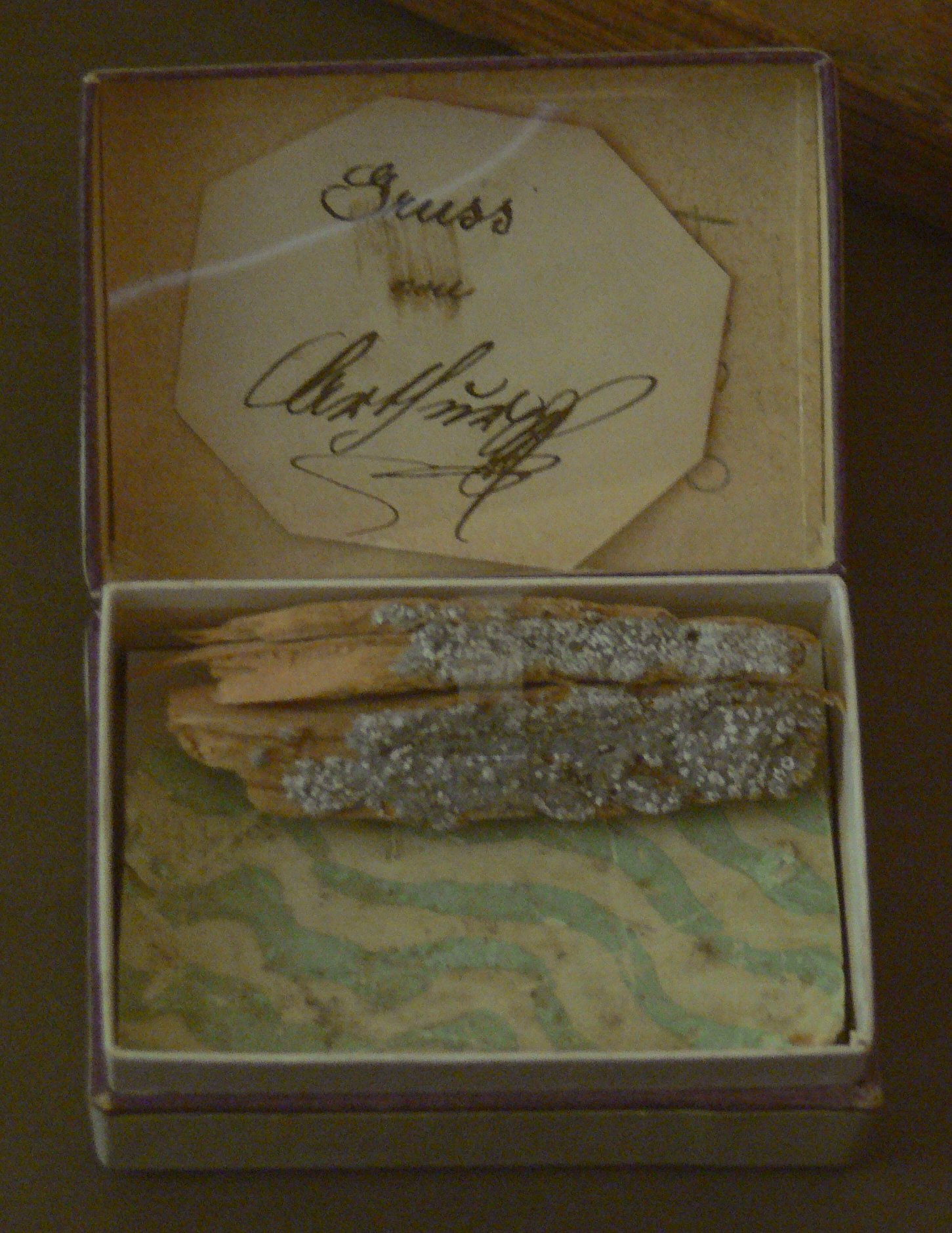 Theatermuseum, Vienna