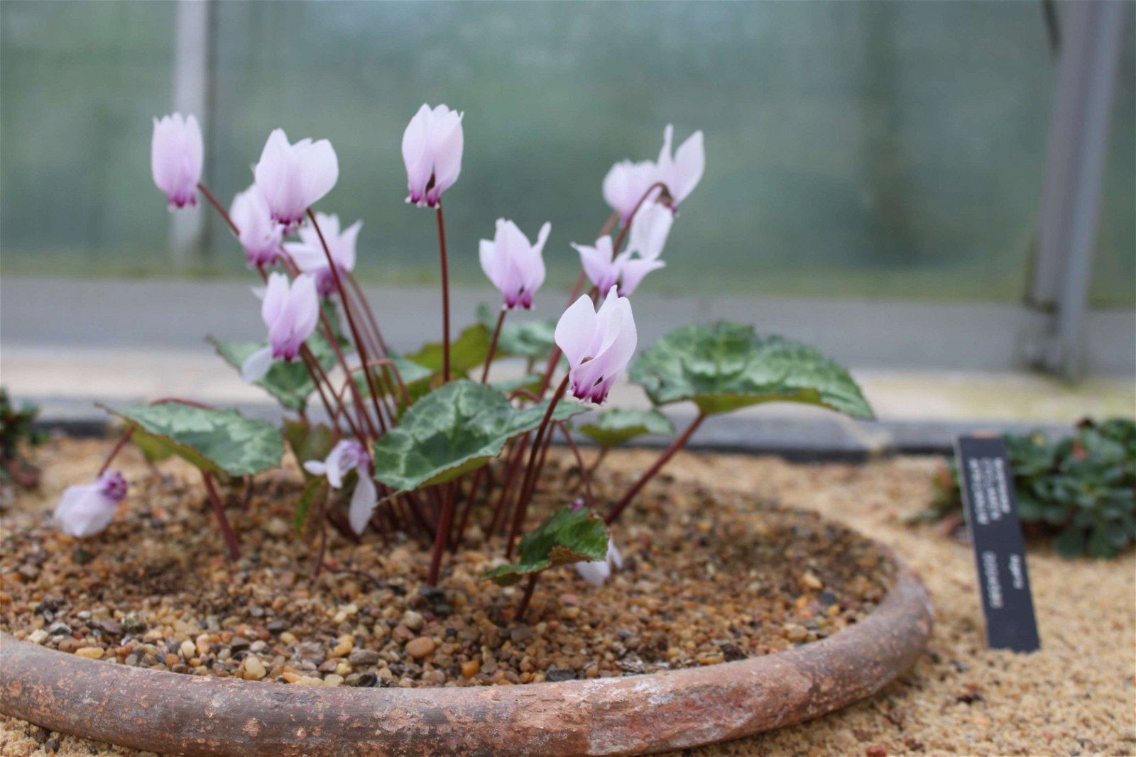 University of Oxford Botanic Garden