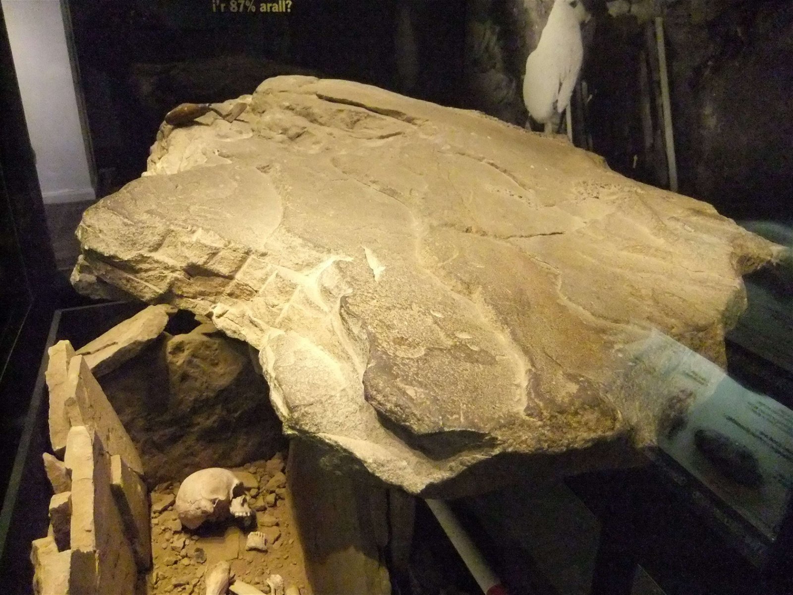 Wrexham County Borough Museum and Archives