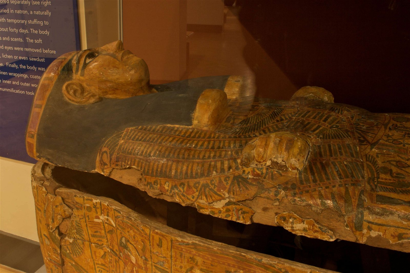 Horniman Museum and Gardens