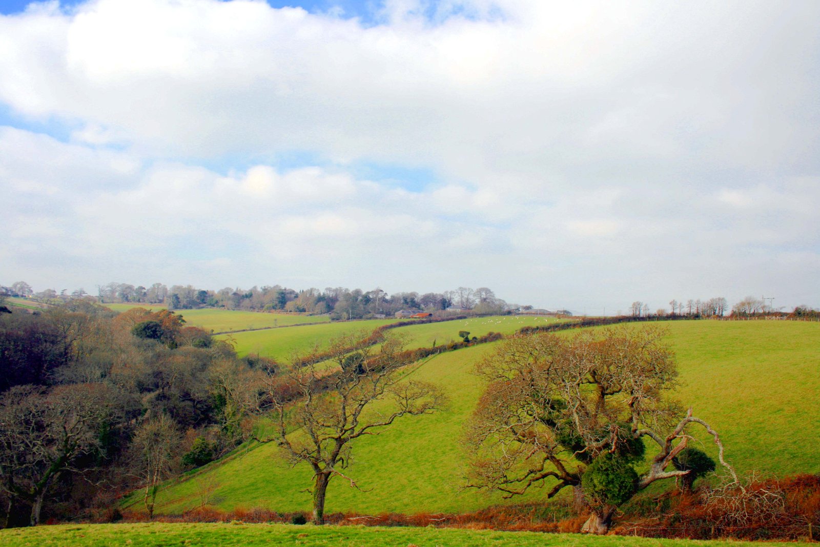 The Lost Gardens of Heligan