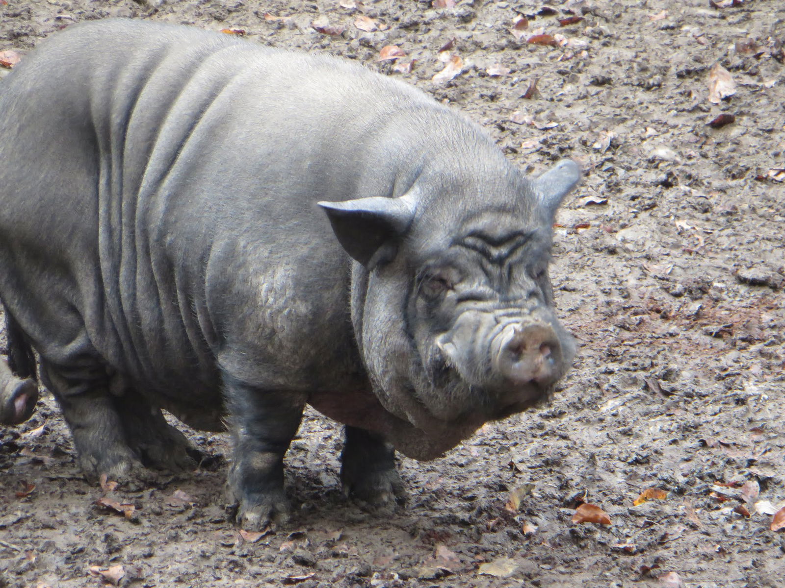 Bouillon Wildlife Park