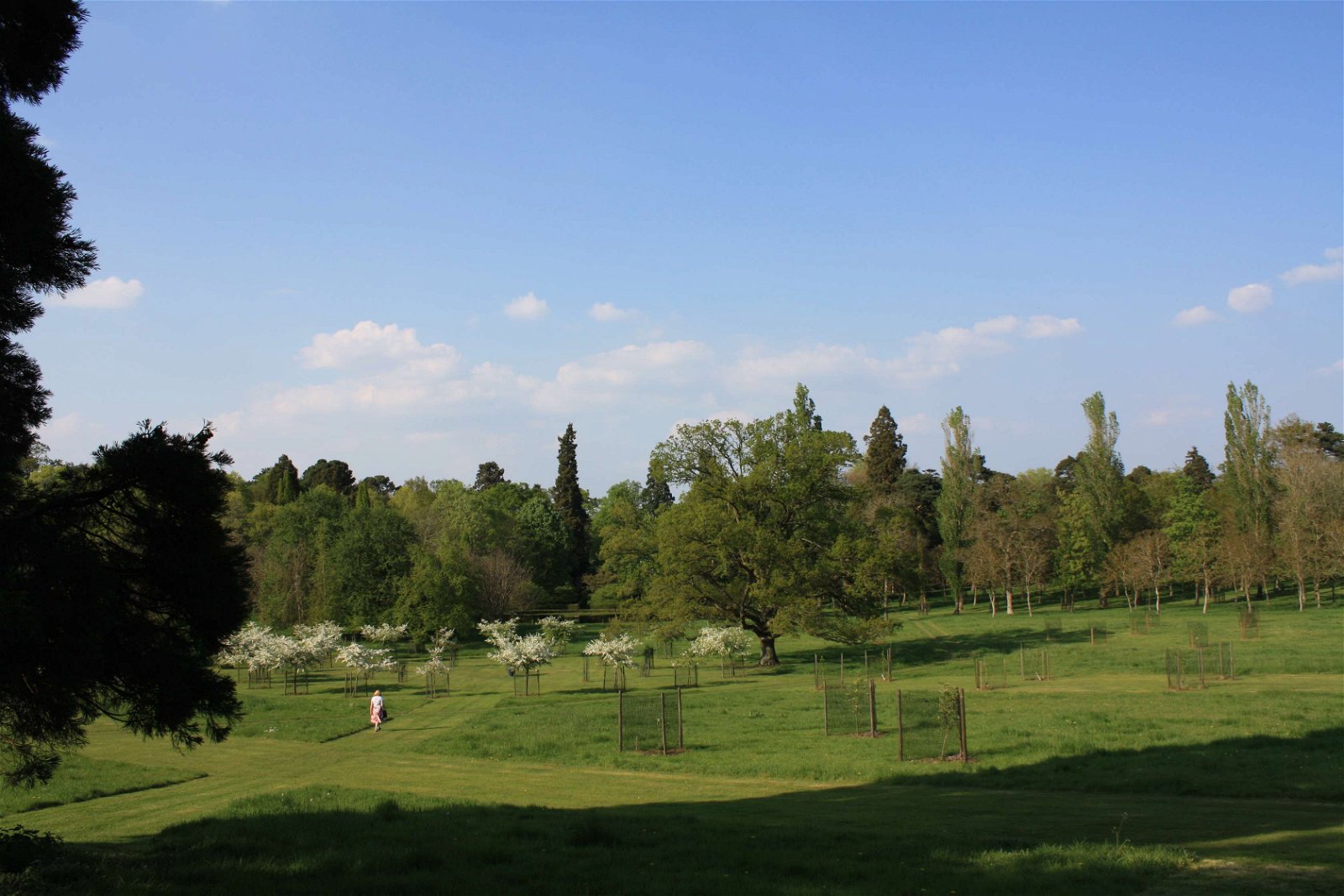 The Faringdon Collection