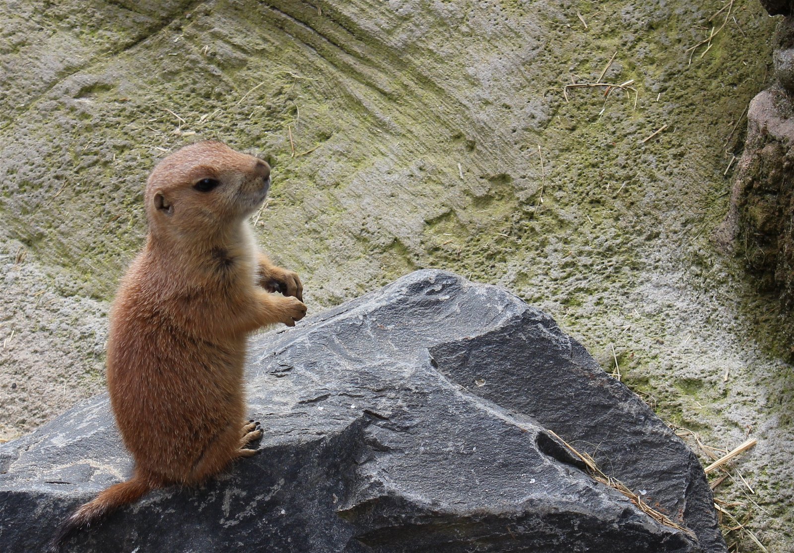 Erlebnis Zoo Hannover