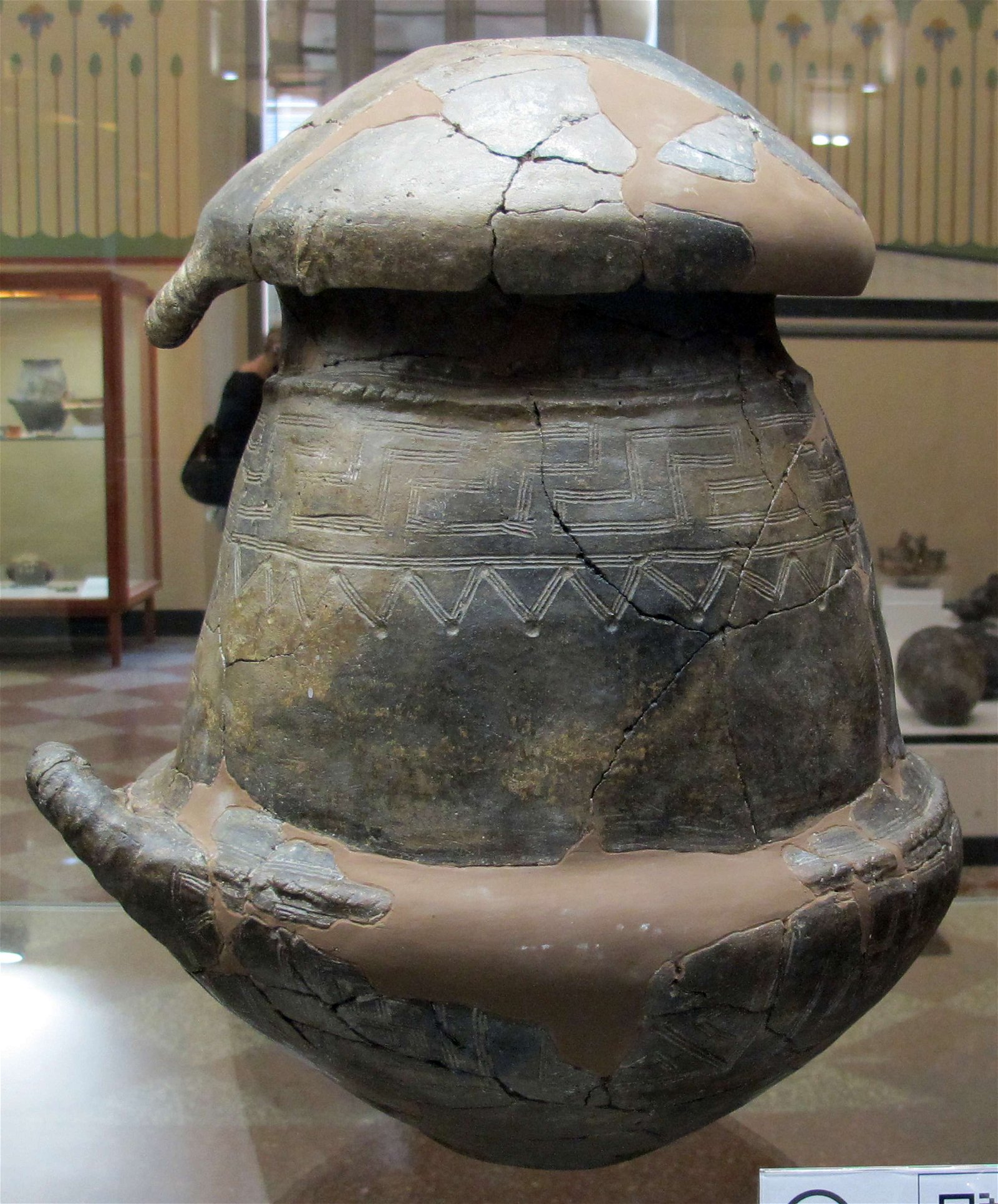 Museo Civico Archeologico