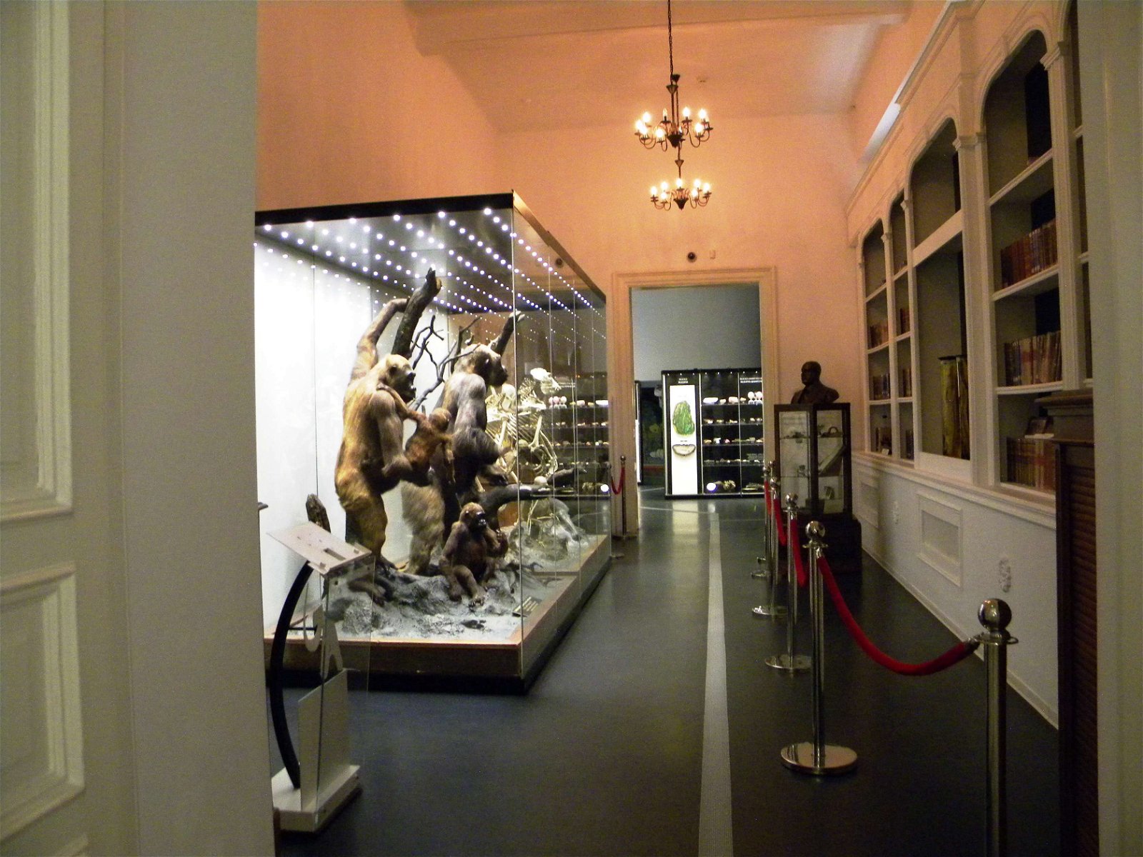 Grigore Antipa National Museum of Natural History