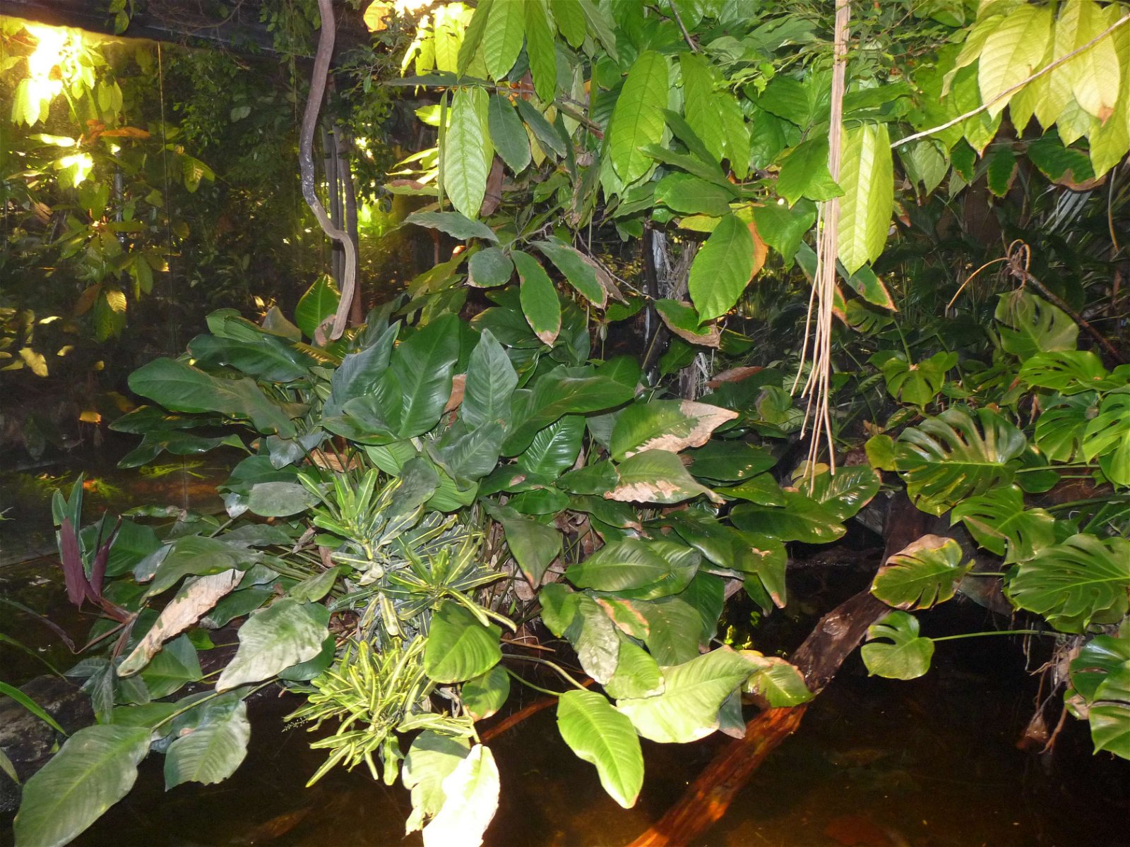 Aquaria Water Museum