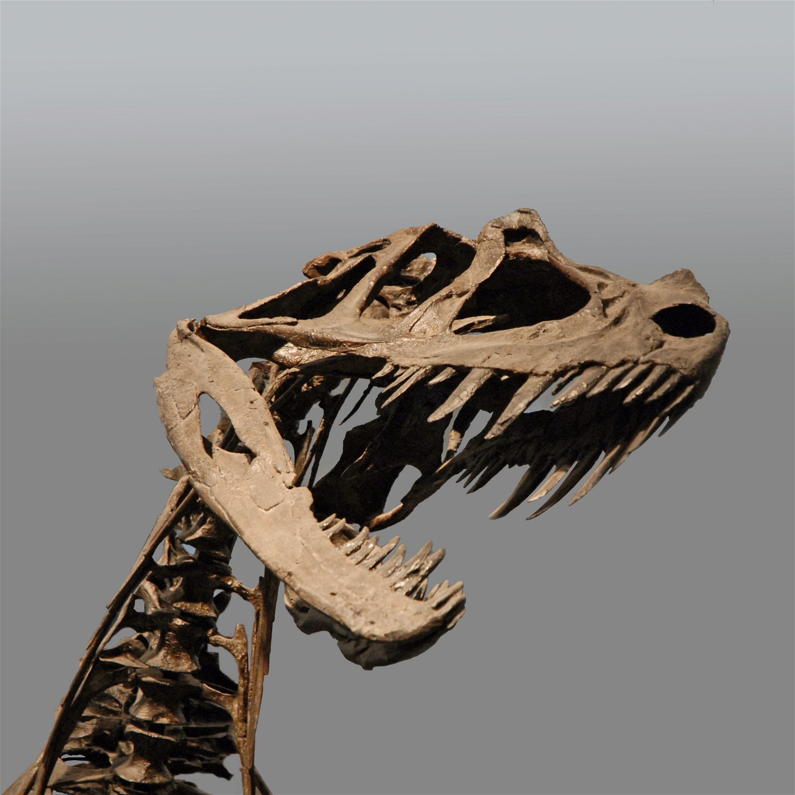 Kelvingrove Art Gallery and Museum