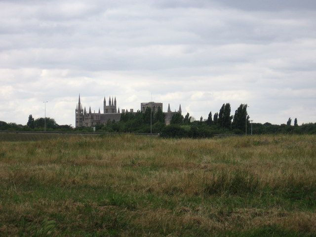 Flag Fen - Peterborough Archaeology