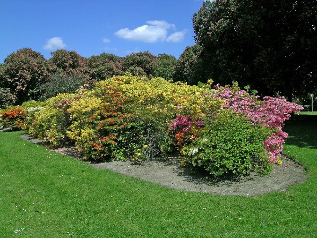 Valentines Mansion and Gardens